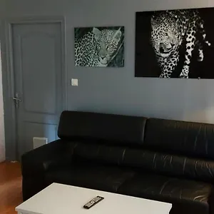 Cosy T2,centre,wi Fi,tram,bus,proche Opéra,facs Appartement Saint-Etienne (Loire)